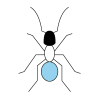 ants