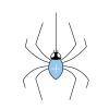 spider