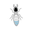 termite